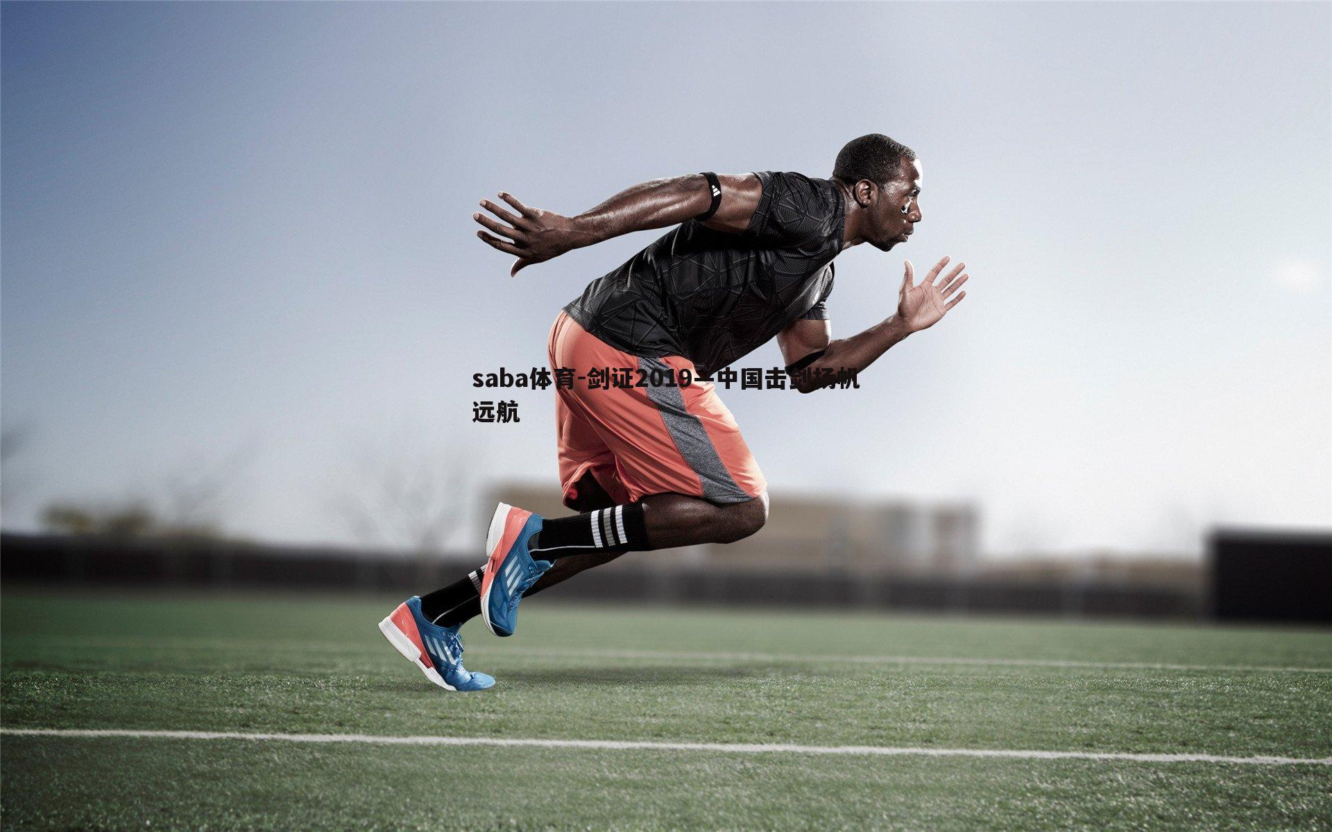 剑证2019—中国击剑扬帆远航