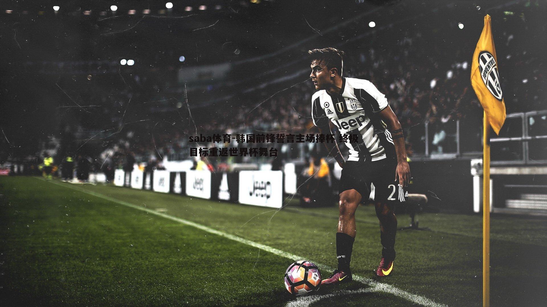 韩国前锋誓言主场捧杯 终极目标重返世界杯舞台