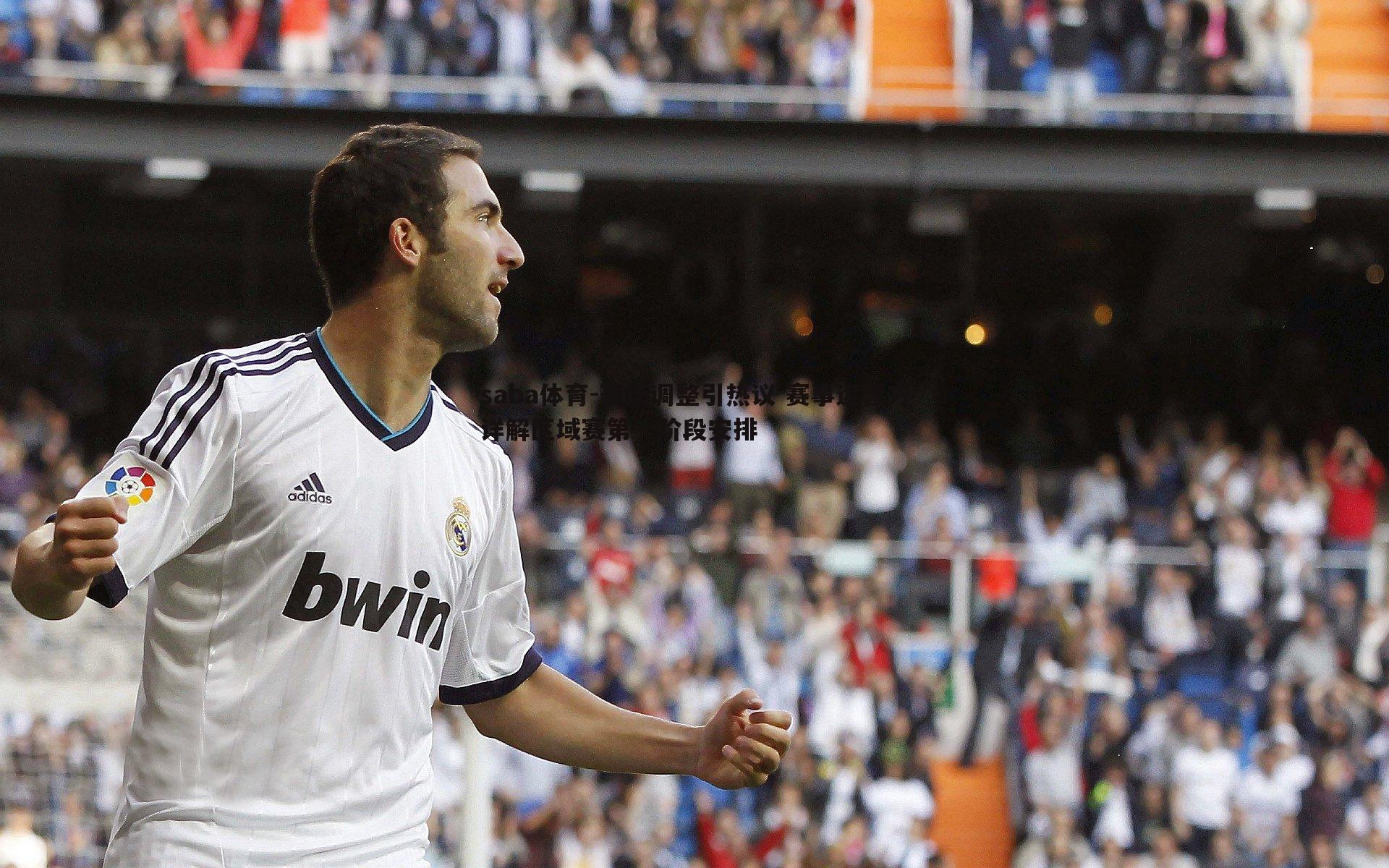 赛场调整引热议 赛事运营方详解区域赛第一阶段安排